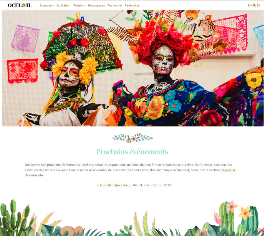 Ocelotl web design